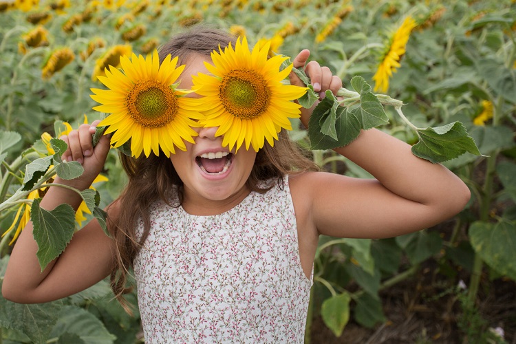 Photo - Sunflower Girl